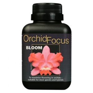 Orchid Focus bloom 500ml