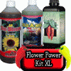 2- Flower Power Kit XL